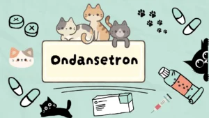 أوندانسيترون للقطط