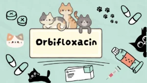 اوربيفلوكساسين للقطط
