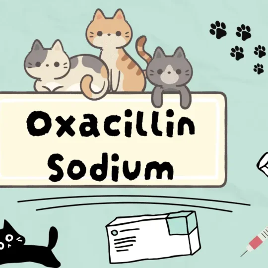 أوكساسيللين صوديوم للقطط