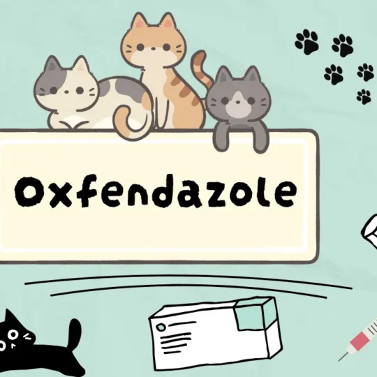 أوكسفيندازول للقطط