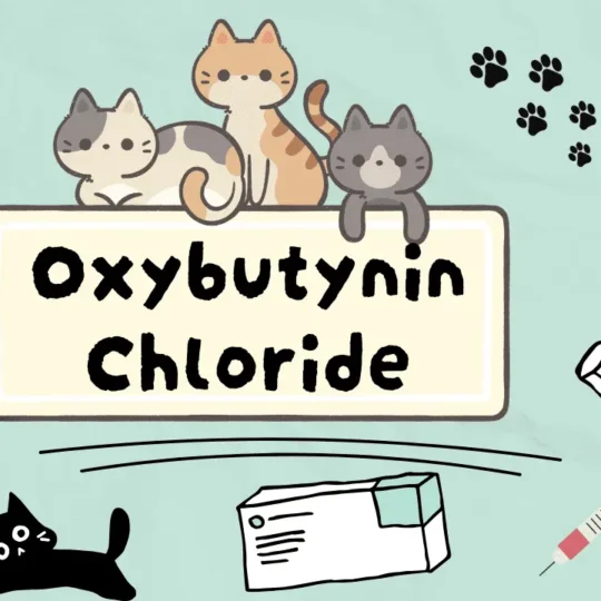 أوكسيبوتينين كلورايد للقطط