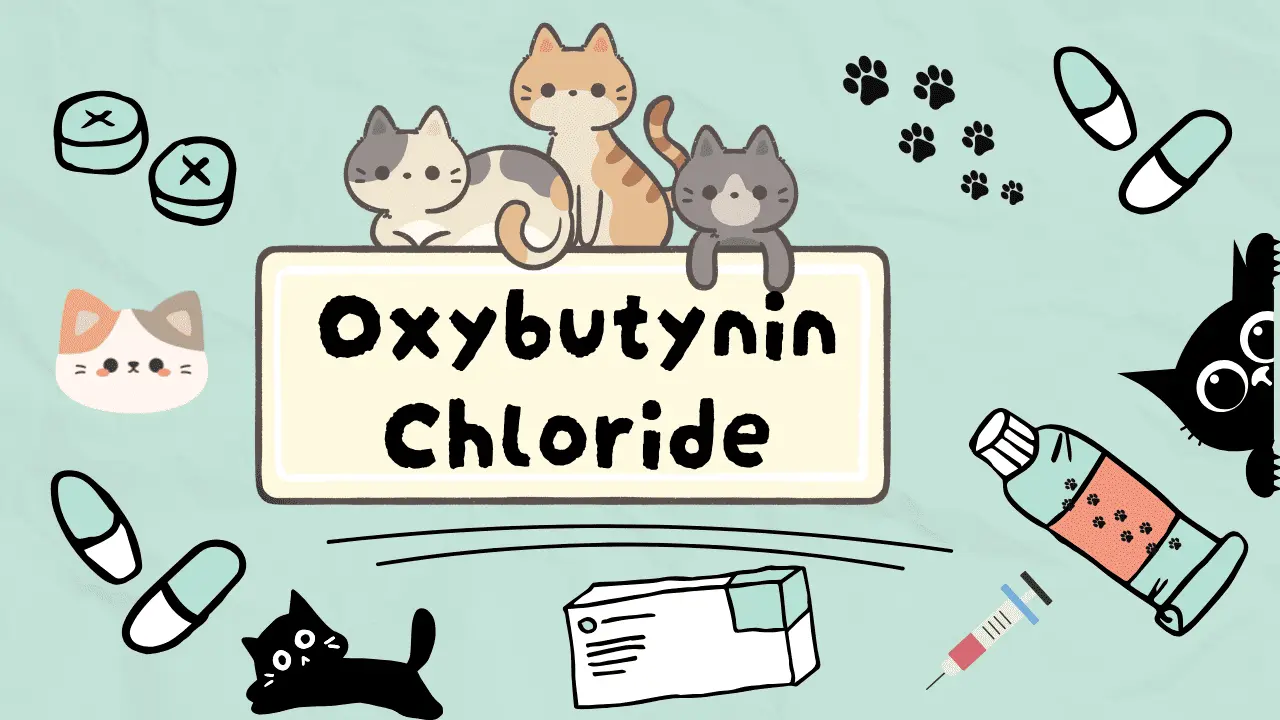أوكسيبوتينين كلورايد للقطط