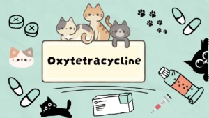أوكسي تتراسيكلين للقطط