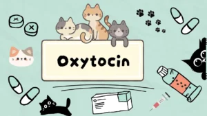 الأوكسيتوسين للقطط