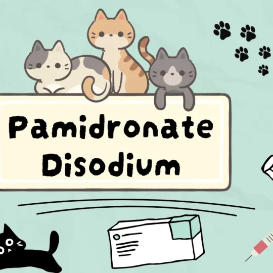 باميدرونات ثنائي الصوديوم للقطط