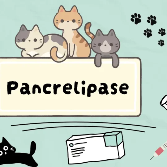 بانكريليباس للقطط