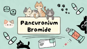 بانكورونيوم بروميد للقطط