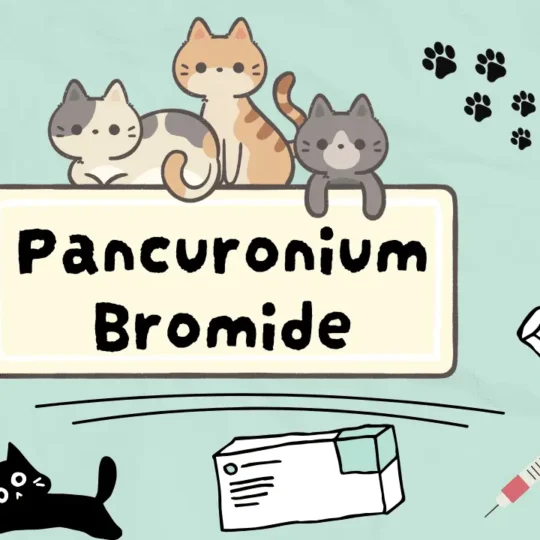 بانكورونيوم بروميد للقطط