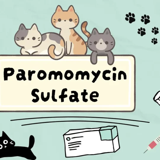 باروموميسين سلفات للقطط