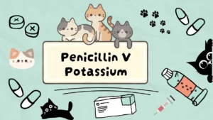 بنسلين ف بوتاسيوم للقطط