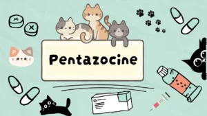 البنتازوسين للقطط