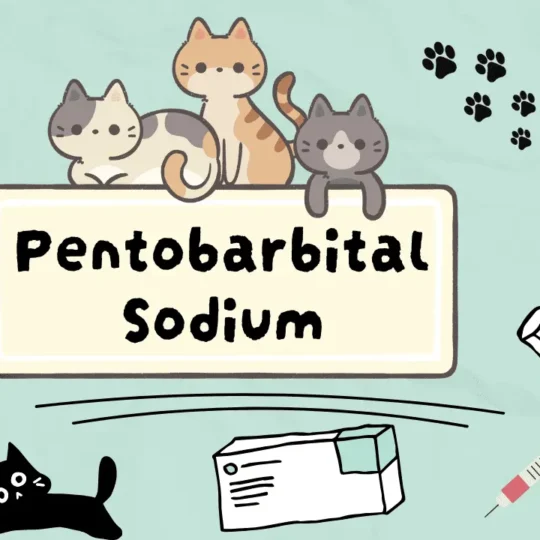 بنتوباربيتال صوديوم للقطط