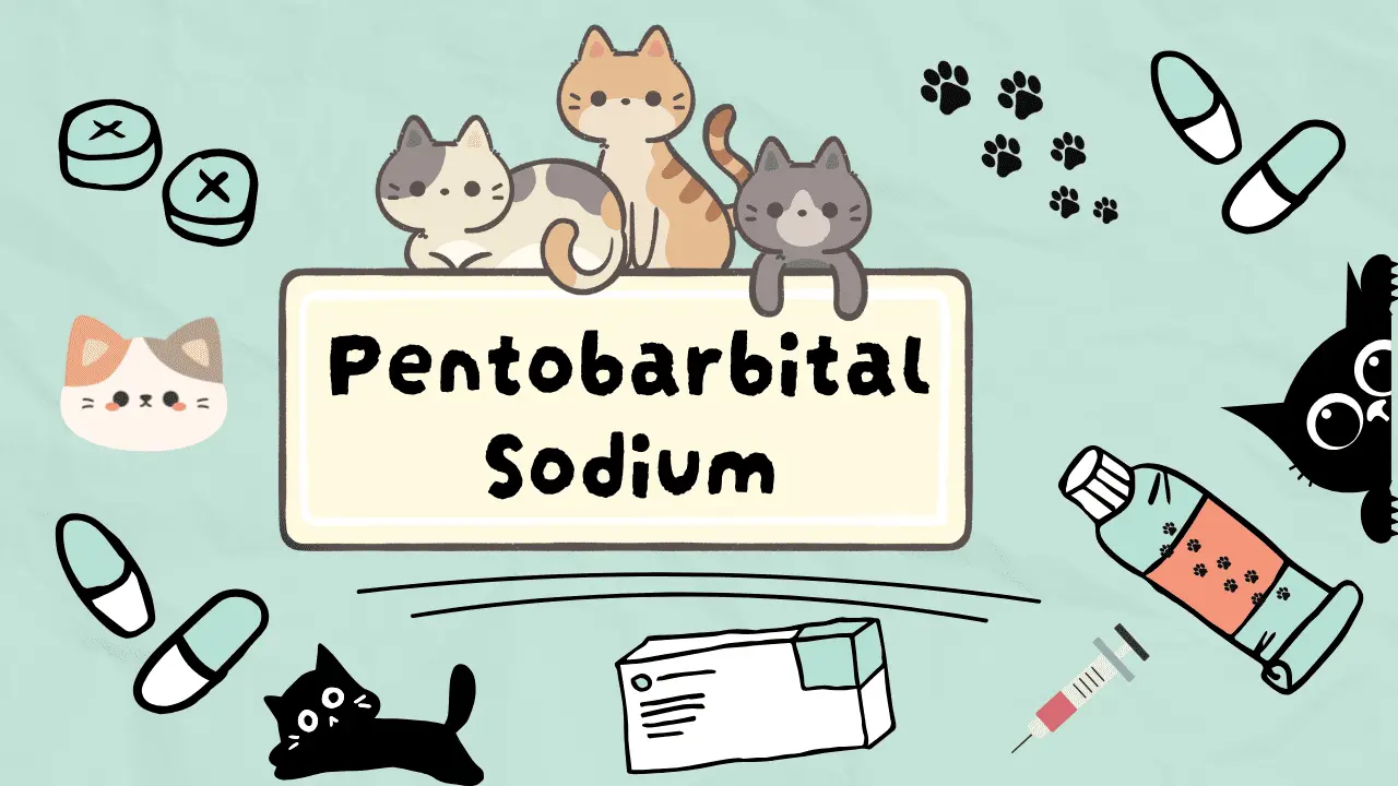 بنتوباربيتال صوديوم للقطط