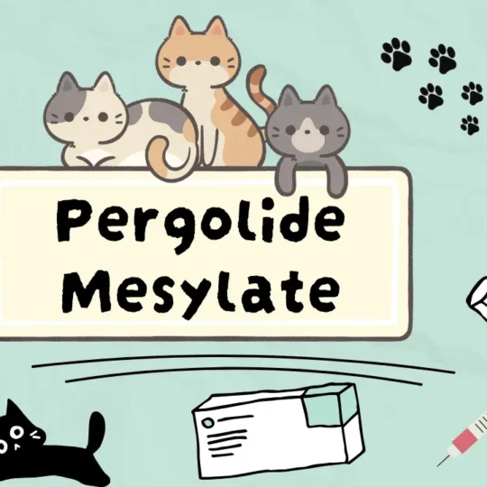بيرغوليد ميسيلات للقطط