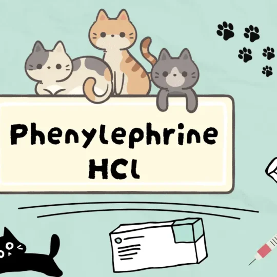 فينيليفرين هيدروكلوريد للقطط