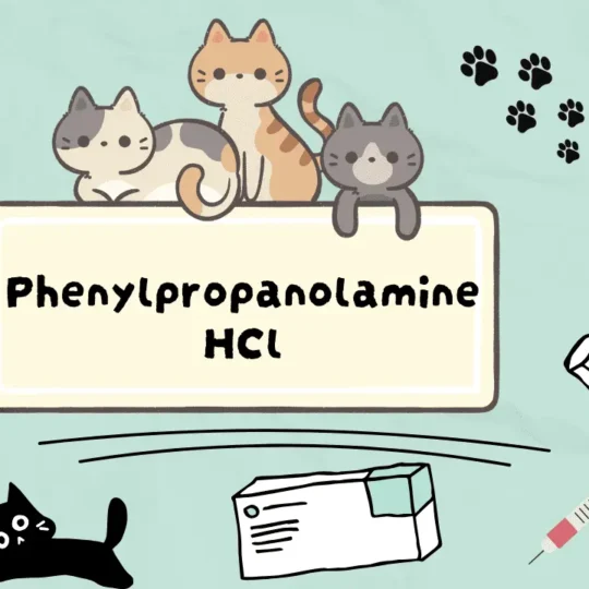 فينيل بروبانولامين هيدروكلوريد للقطط