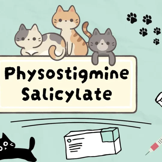 فايسوستيغمين ساليسيلات للقطط