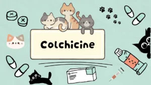 الكولشيسين للقطط