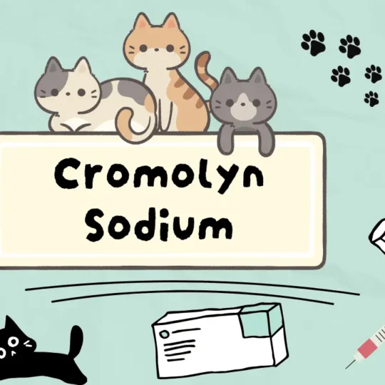 كرومولين صوديوم للقطط