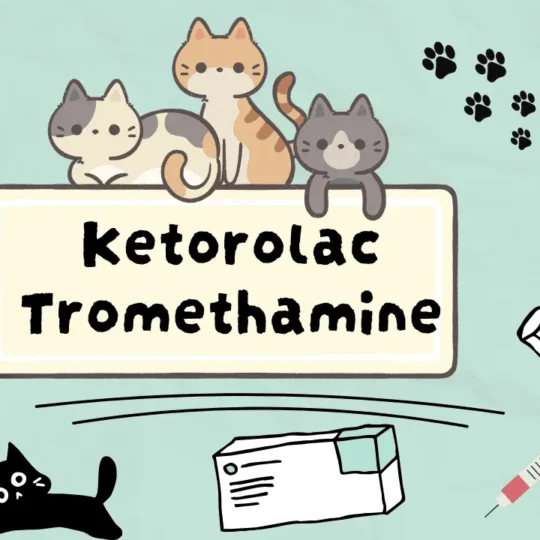 كيتورولاك للقطط