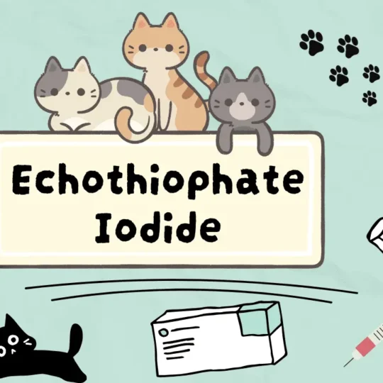 إيكوثيوفيت ايوديد للقطط