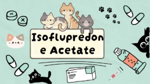 ايزوفلوبريدون اسيتات للقطط
