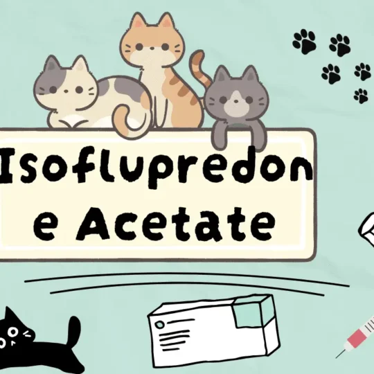 ايزوفلوبريدون اسيتات للقطط