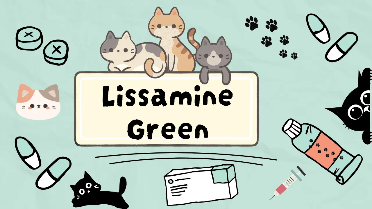 اخضر الليسامين للقطط