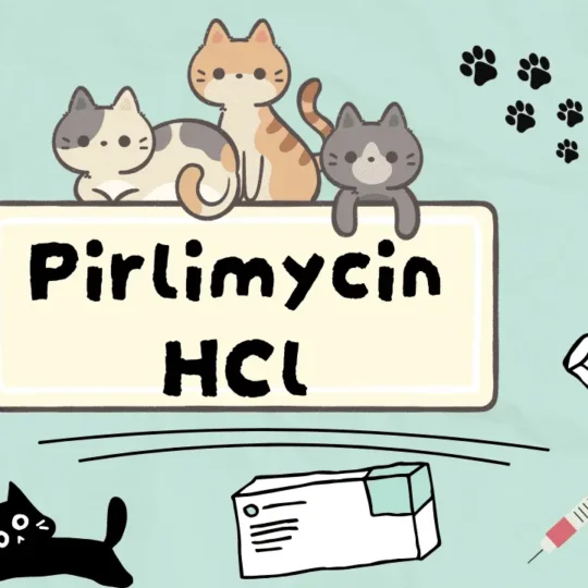 بيرليميسين هيدروكلوريد للقطط