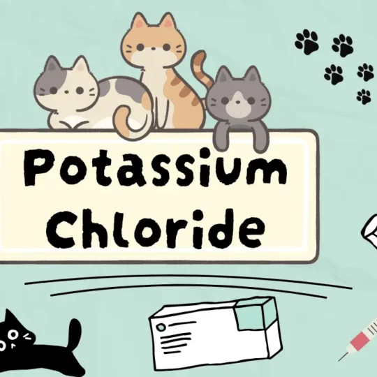 كلوريد البوتاسيوم للقطط