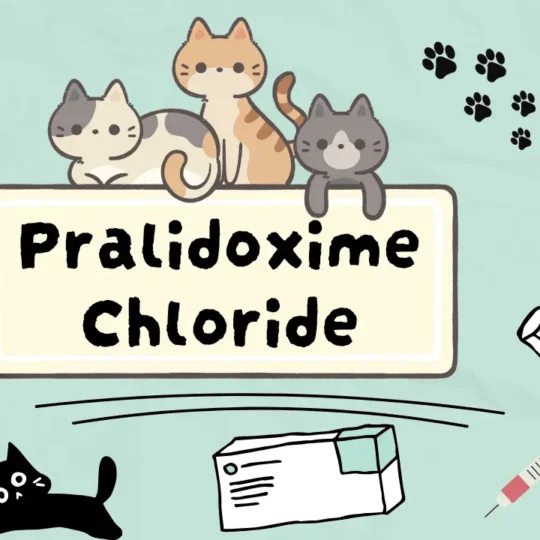 براليدوكسيم كلوريد للقطط