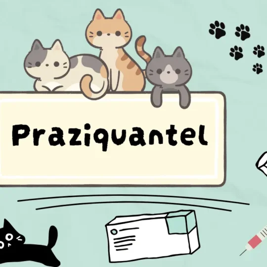 برازي كوانتيل للقطط