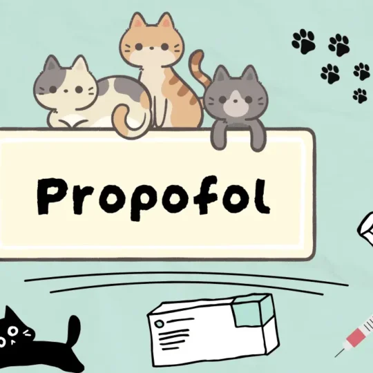 بروبوفول للقطط