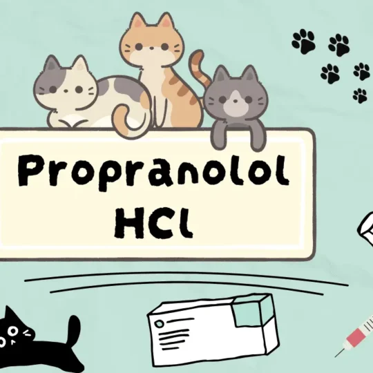 بروبرانولول هيدروكلورايد للقطط
