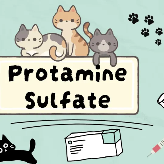 بروتامين سلفات للقطط