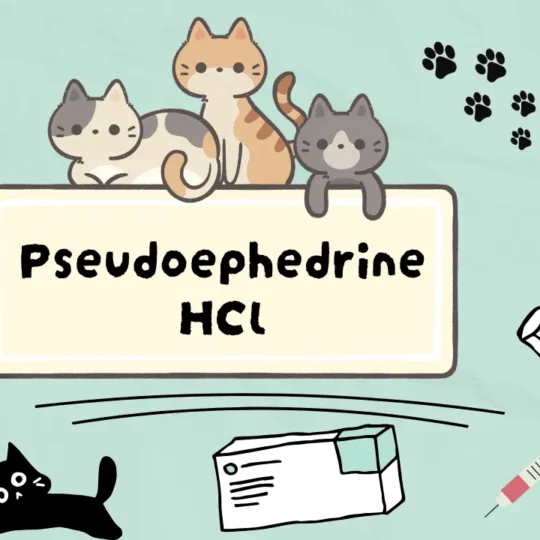 بسويدوفدرين هيدروكلوريد للقطط