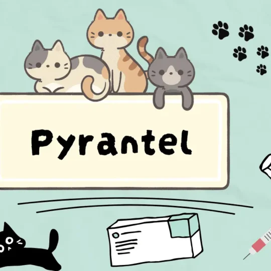 بايرانتيل للقطط