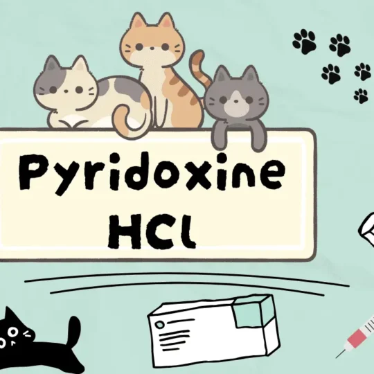 بيريدوكسين هيدروكلوريد للقطط
