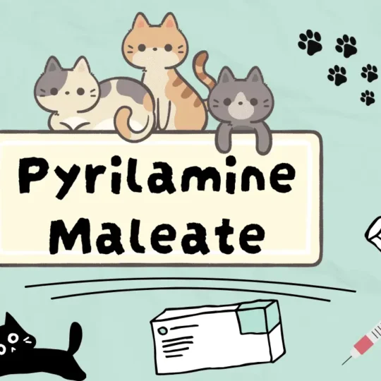 بيريلامين مالييت للقطط