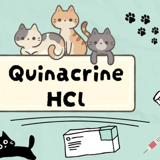 كيناكرين هيدروكلورايد للقطط