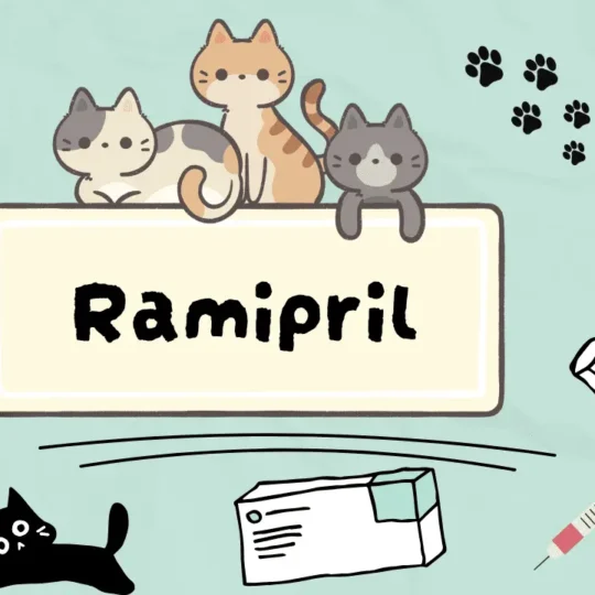 راميبريل للقطط