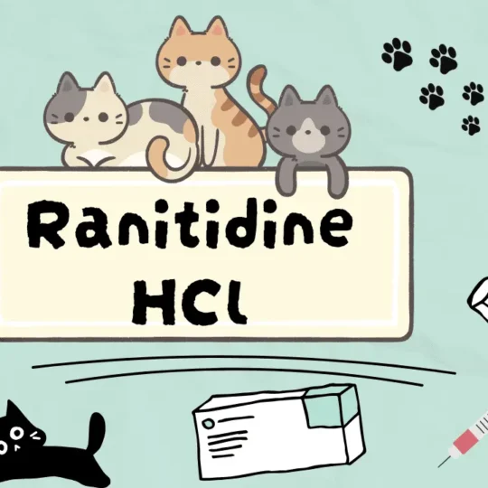 رانيتيدين هيدروكلورايد للقطط