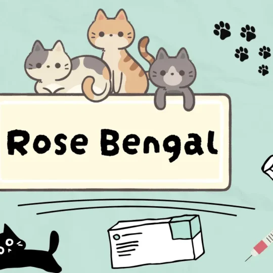 روز البنغال للقطط