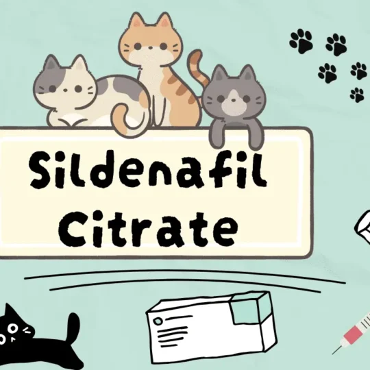 سيلدينافيل سترات للقطط