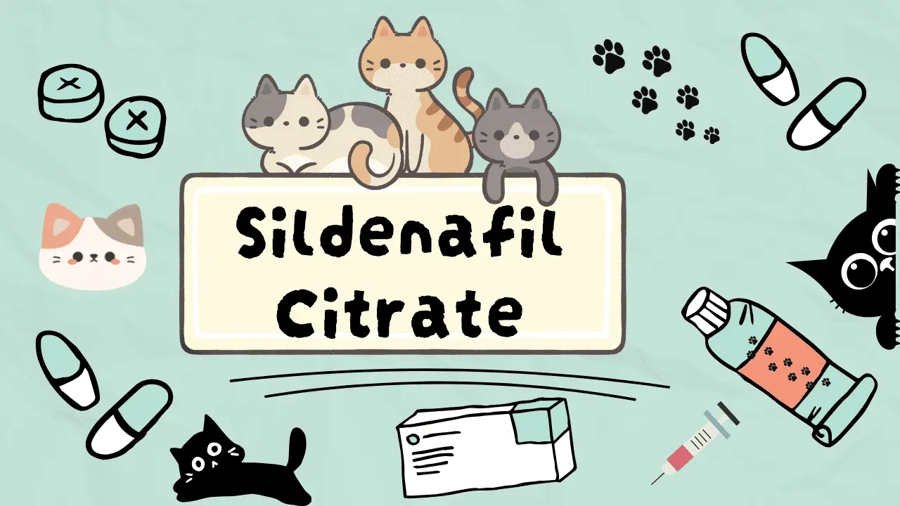 سيلدينافيل سترات للقطط