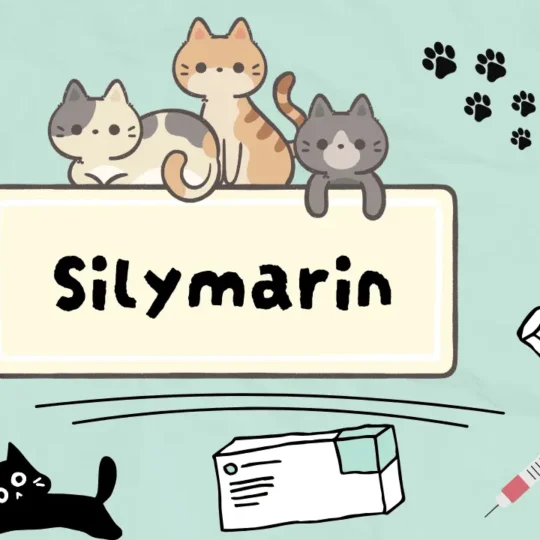 السيليمارين للقطط