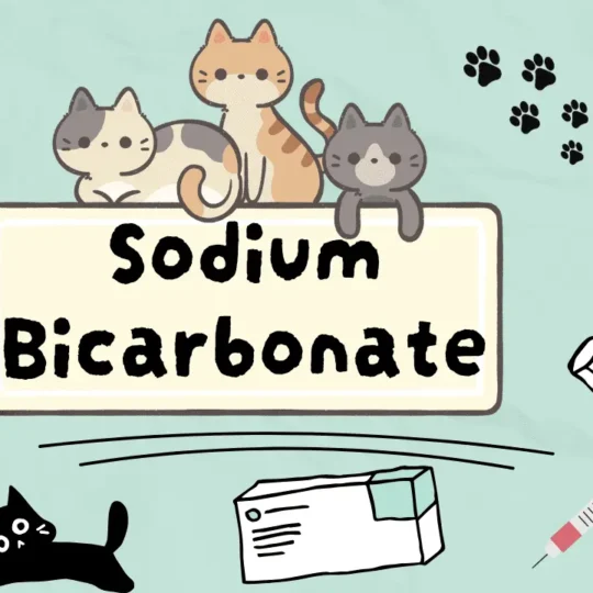 بيكربونات الصوديوم للقطط