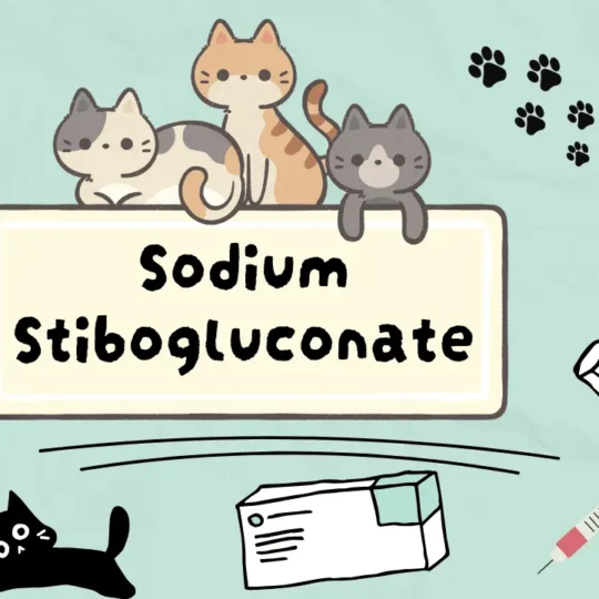 صوديوم ستبوغلوكونات للقطط