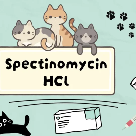 سبكتينومايسين هيدروكلوريد للقطط