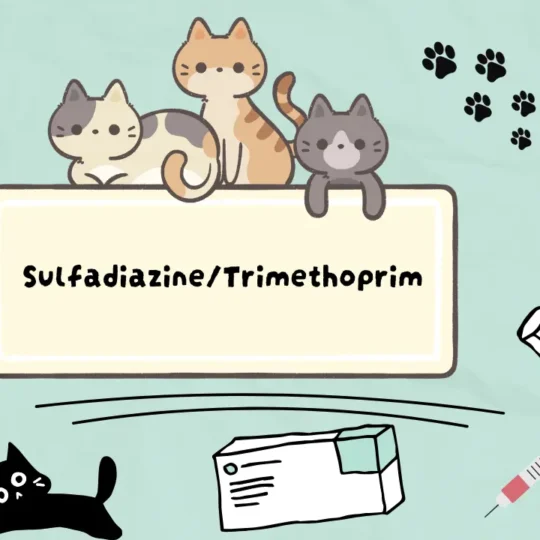 سلفاديازين تريميثوبريم للقطط